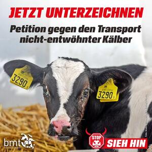 franziskus_tierheim