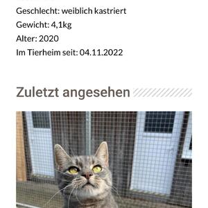 franziskus_tierheim